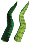 Plush Tentacle